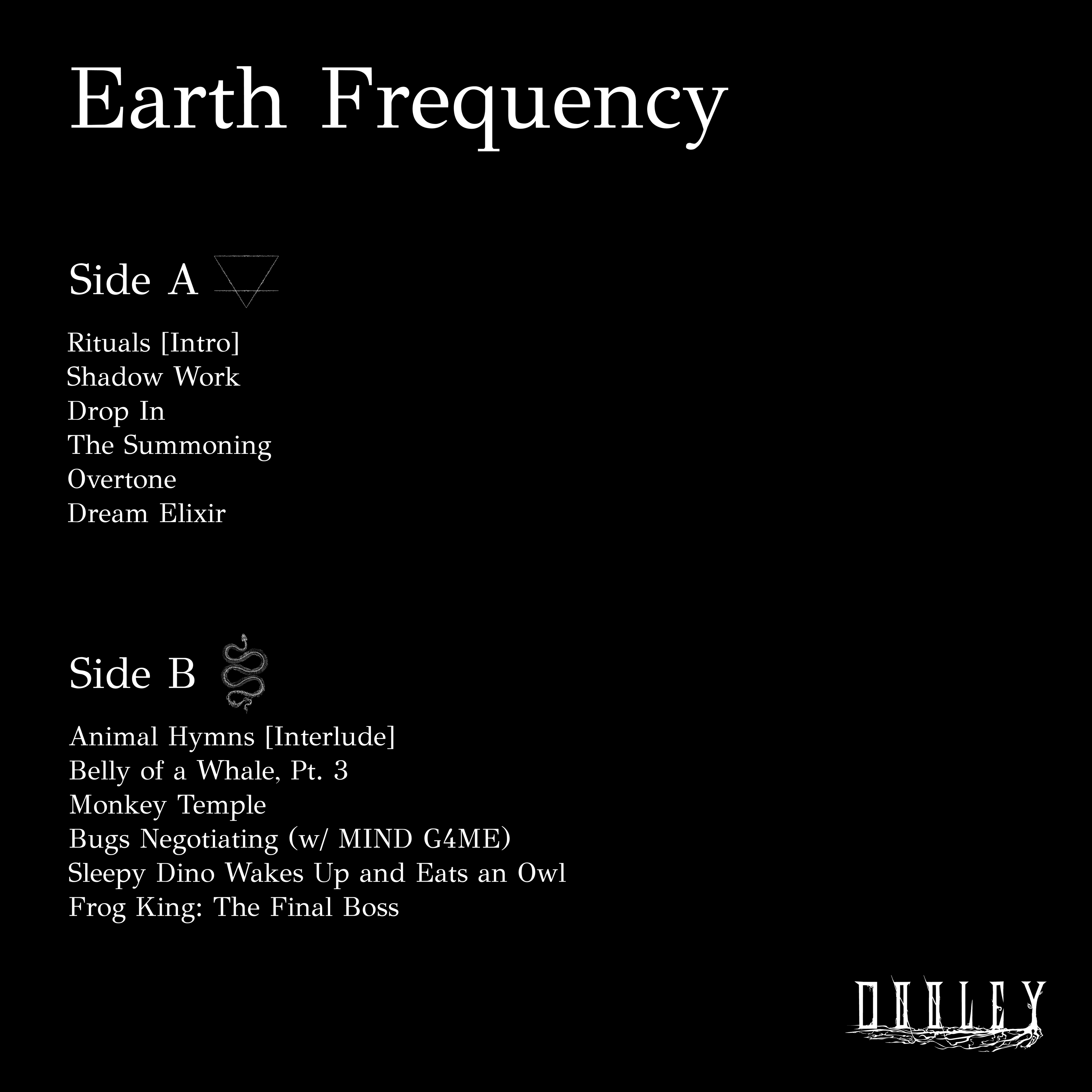 Earth Frequency - Vinyl Record